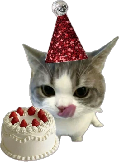 Cat in a party hat licking its lips